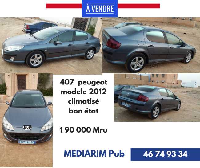 PEUGEOT 407  A VENDRE