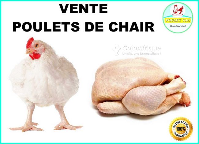 Poulet frais 