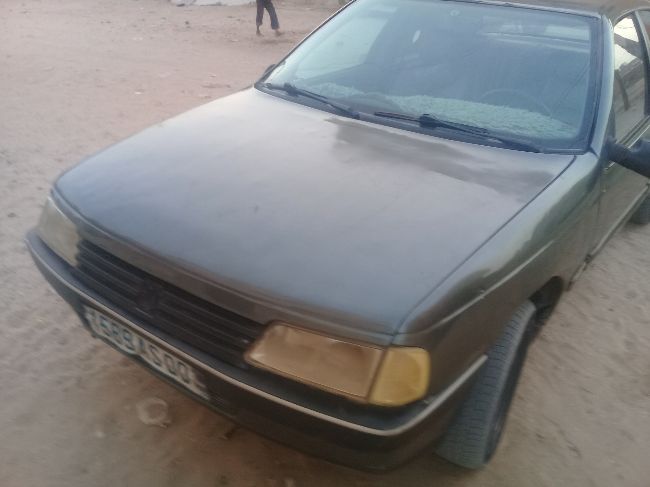  Peugeot 405