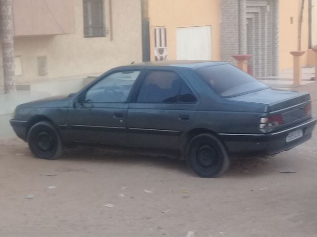  Peugeot 405