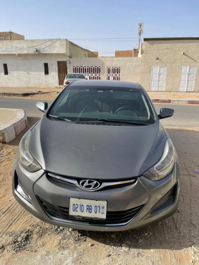 هونداي النترا امدبيتيه كولاج Hyundai Elantra 2014