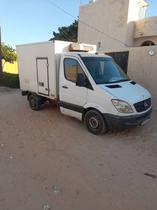 Mini camion frigorifique 