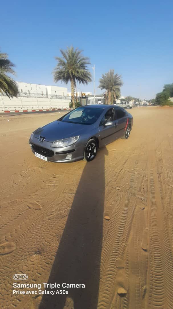 Peugeot 407 Dédouanée AV papier complet Climatisée 