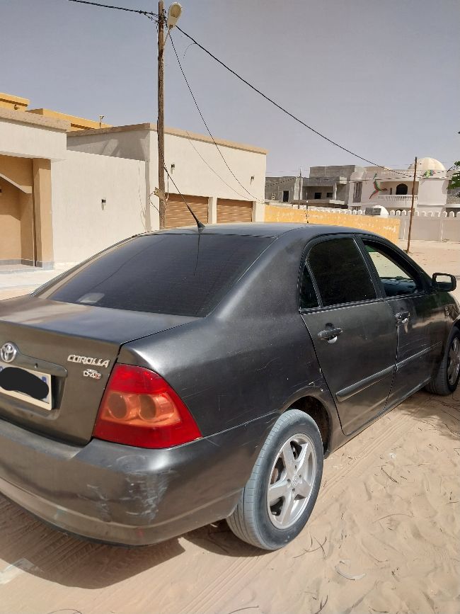 سيلفير 2006 