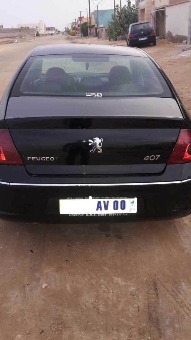 PEUGEOT 407 Model 2008