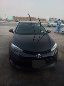 Toyota corolla LE 2018