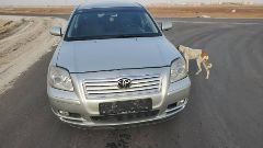 سياره للبيع Avensis 2005